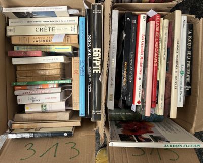 Deux cartons d'ouvrages et albums modernes dont : La pratiqu…