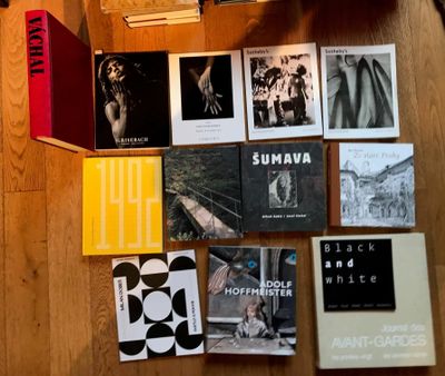 Documentation art moderne, contemporain (notamment Républiqu…