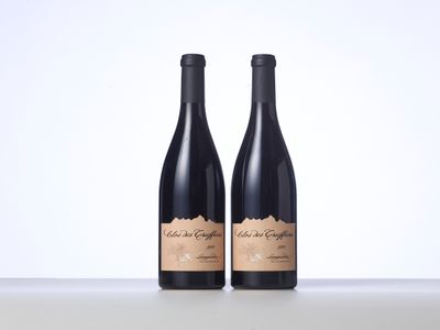 deux bouteilles de vin rouge posées sur une table