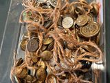 un récipient en plastique rempli d'une multitude de pièces de monnaie posé sur une table