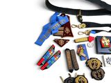 a lot of medals and medals on a black lanyard