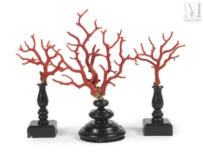 trois vases ornés de branches rouges sur fond blanc