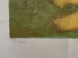 a picture of a painting of two bananas in a field