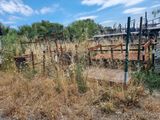 a fence that has a lot of weeds in it