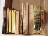 beaucoup de livres qui traînent sur une étagère
