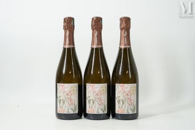 trois bouteilles de vin posées les unes à côté des autres sur une surface blanche