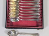 six spoons in a case with a red lining