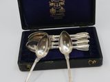 two silver spoons in a black case with a blue cover