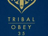 a close up of a blue book with a gold design on it