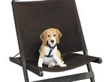 a dog that is sitting in a chair on a white background