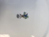 a white plate with a blue and green design on it