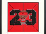 a framed picture of a basketball player with the number 23 on it