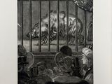 an image of a drawing of a tiger in a cage