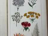 an open book with a bunch of flowers on it