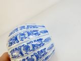 quelqu'un tient un vase bleu et blanc dans la main