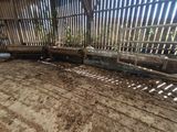 un sol en terre battue dans une grange entourée d'une clôture en bois