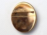 an image of a close up of a gold pin on a white surface