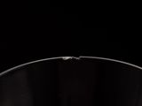 an image of a glass of water with a tiny insect on it