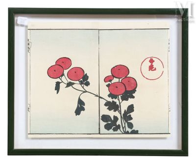a picture of a picture of a red flower on a white background