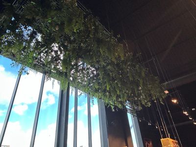 a tree hanging from the ceiling of a restaurant