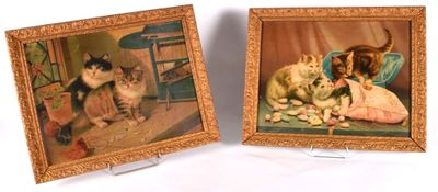 two pictures of cats that are on display in the picture