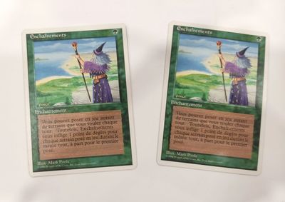 deux cartes sur lesquelles figurent respectivement l'image d'un sorcier et un sorcier