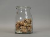 a glass jar filled with shells on a white surface