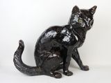 un chat noir assis sur une surface blanche