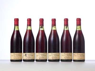 six bottles of wine lined up in a row on a table
