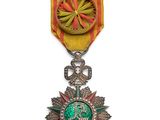 Gros plan sur une médaille portant une étoile