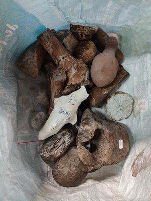 a bag full of rocks and a knife in it