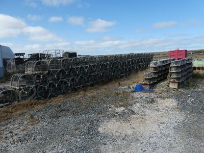 a large pile of lobster cages on the side of the road