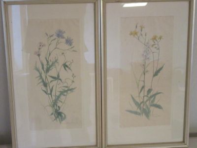 deux photos encadrées de fleurs sauvages accrochées au mur
