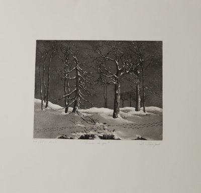 photographie en noir et blanc d'un paysage enneigé avec des arbres et des rochers