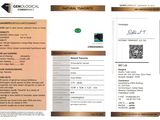 an image of a brochure with a picture of a diamond on it