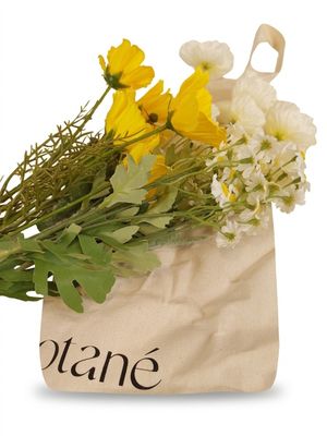 un sac contenant des fleurs, sur fond blanc