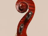 a close up of the back of a violin