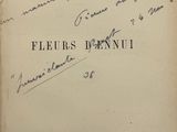Photo 2/2 du lot