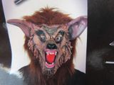 a picture of a picture of a man wearing a wolf mask