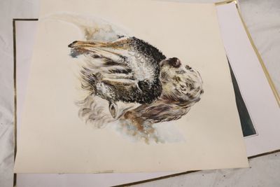 une image d'un dessin d'oiseau sur une feuille de papier
