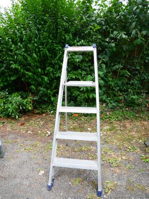 a ladder that is sitting in the middle of the road