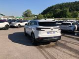 Photo 5/14 du lot