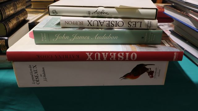 Katrina COOK : Oiseaux. Citadelles, 2007. John JAMES : AUDUBON th...
