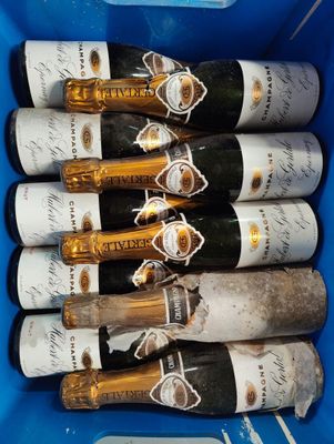 six bouteilles de champagne dans une boîte en plastique bleue