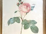 painting of a pink rose with green leaves in a gold frame