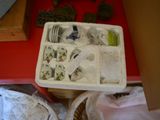a plastic container filled with assorted items on a red table