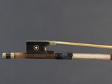 a close up of a violin bow with a stick sticking out of it