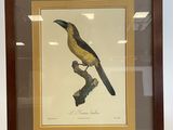 a framed picture of a bird sitting on a branch