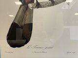 a bird that is sitting on a branch in a glass case