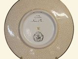a white plate with a picture of a castle on it